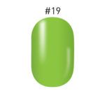 MOLDING GEL COLORS - #19