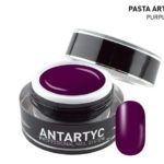 PASTA ARTISTYC - PURPLE